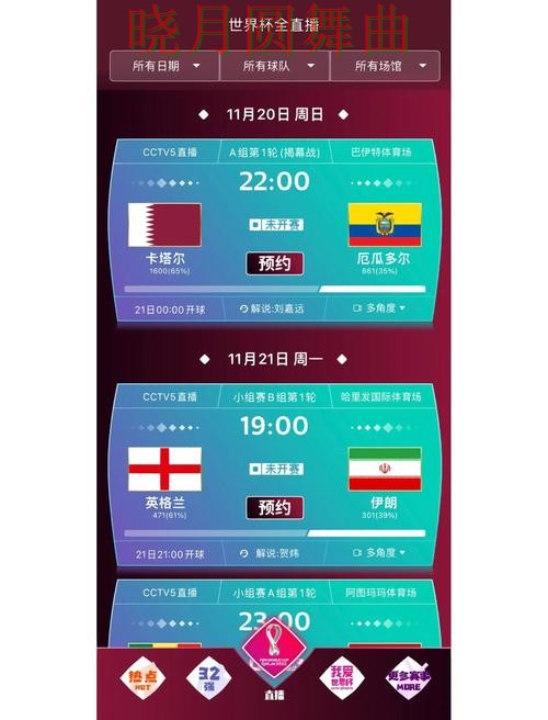 世界杯买球官网入口在哪里查看全攻略